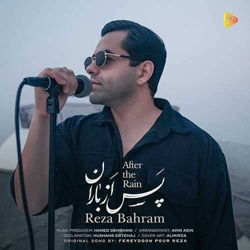 مجتبی طزری - دلتنگی