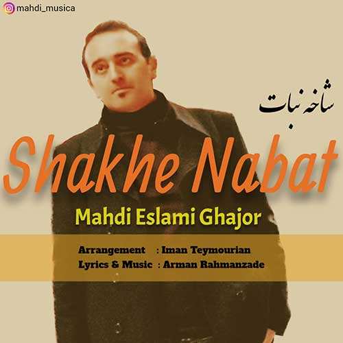 رضا مریدی - شبونه