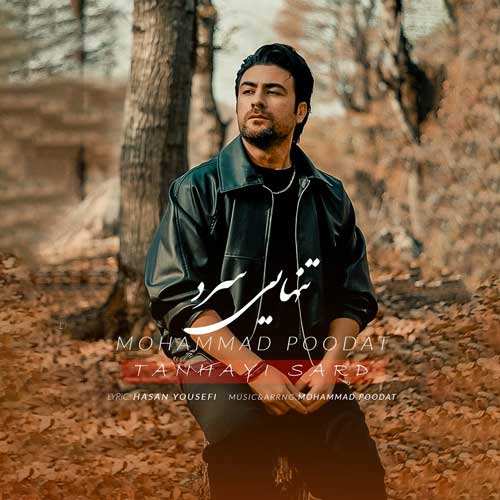 وحید دانشور - برگرد