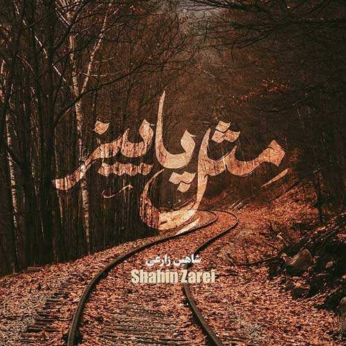 سهیل فیضی - کوچه