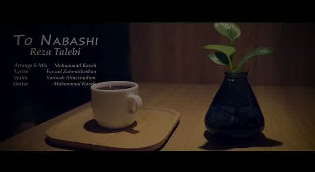 رضا طالبی به نام تو نباشی
