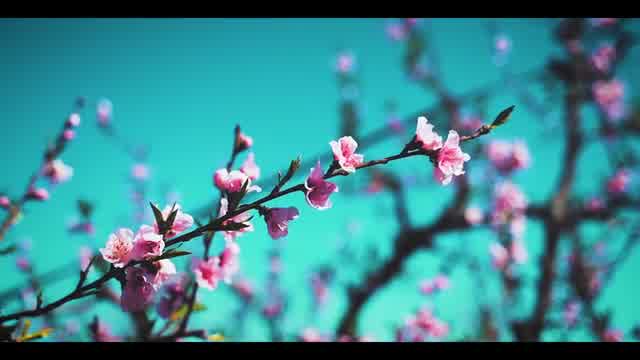 محسن حشمتی راد به نام یارا