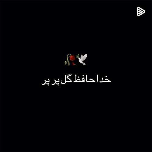 روزبه بمانی - هق هق