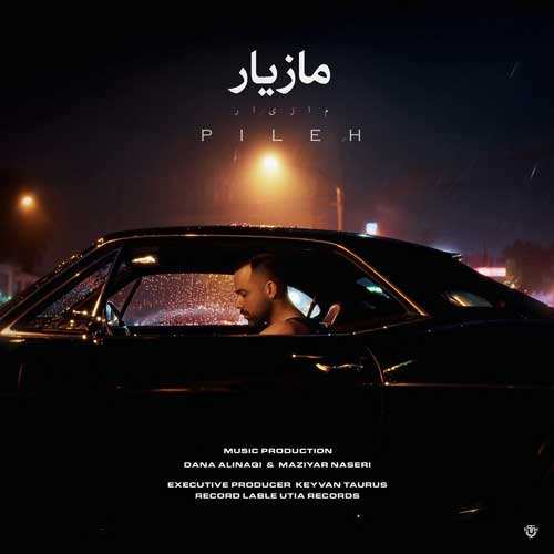 مهرداد توکلی - پرنده