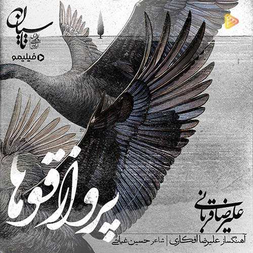 حمید سلیمی - سلول انفرادی