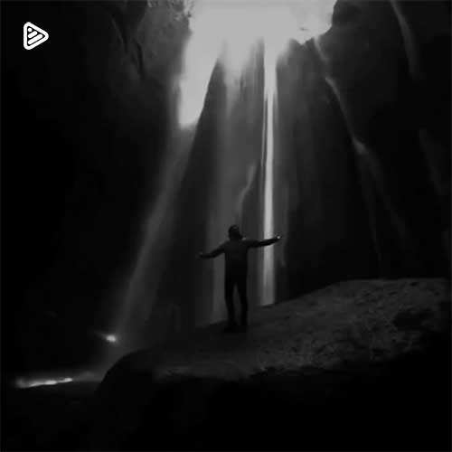 ناصر زینعلی - جاذبه