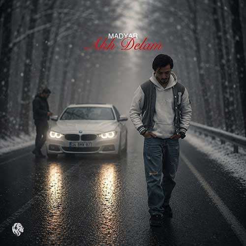 رضا فرشباف - غریبه