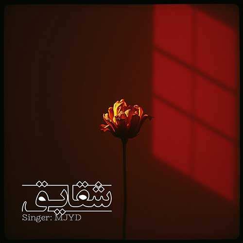 مرتضی پاشایی - خاطره ها
