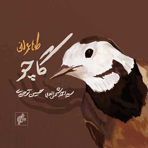 علیرضا عقیلی - ستاره