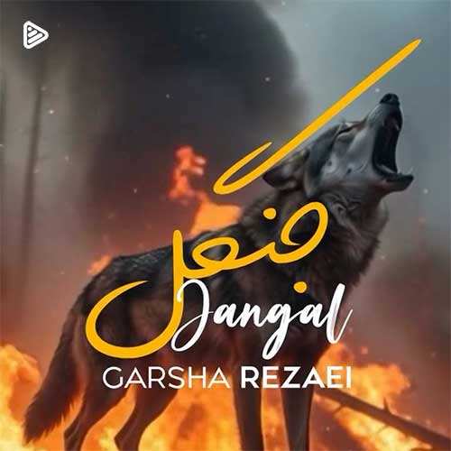 امیر ایران - شونه به شونه