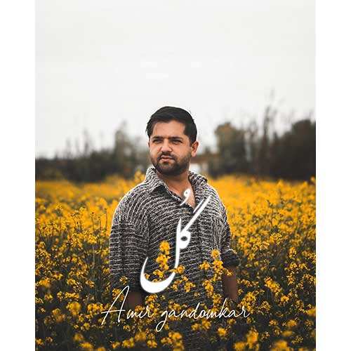 دارا دلدار - آرزو