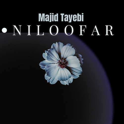 مجید خراطها - شرمنده